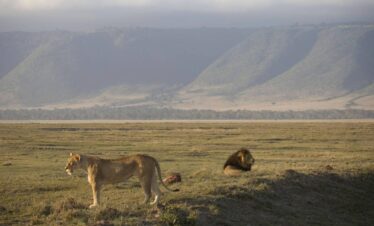 ngorongoro creater