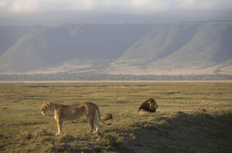 ngorongoro creater