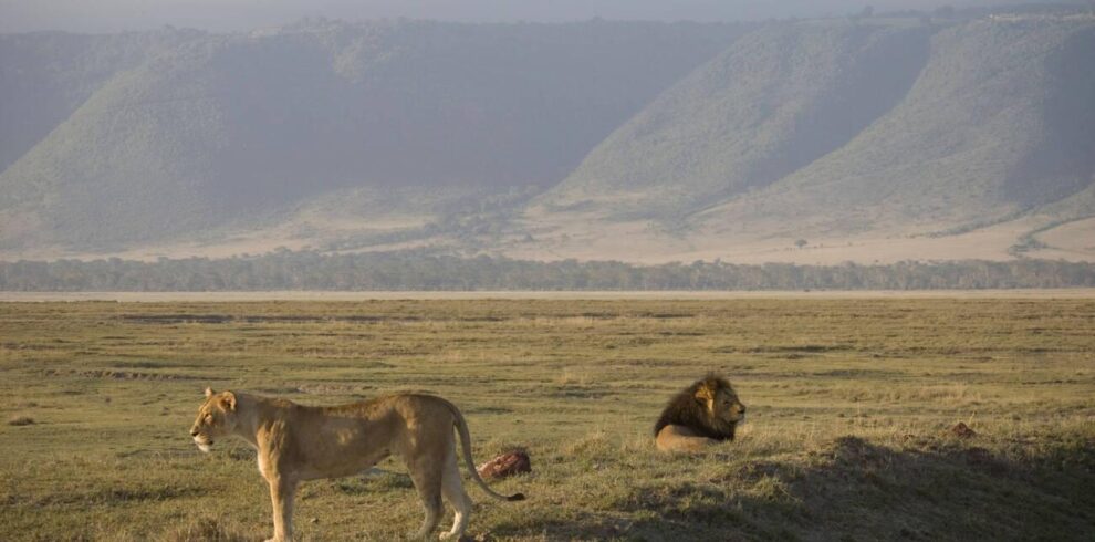 ngorongoro creater