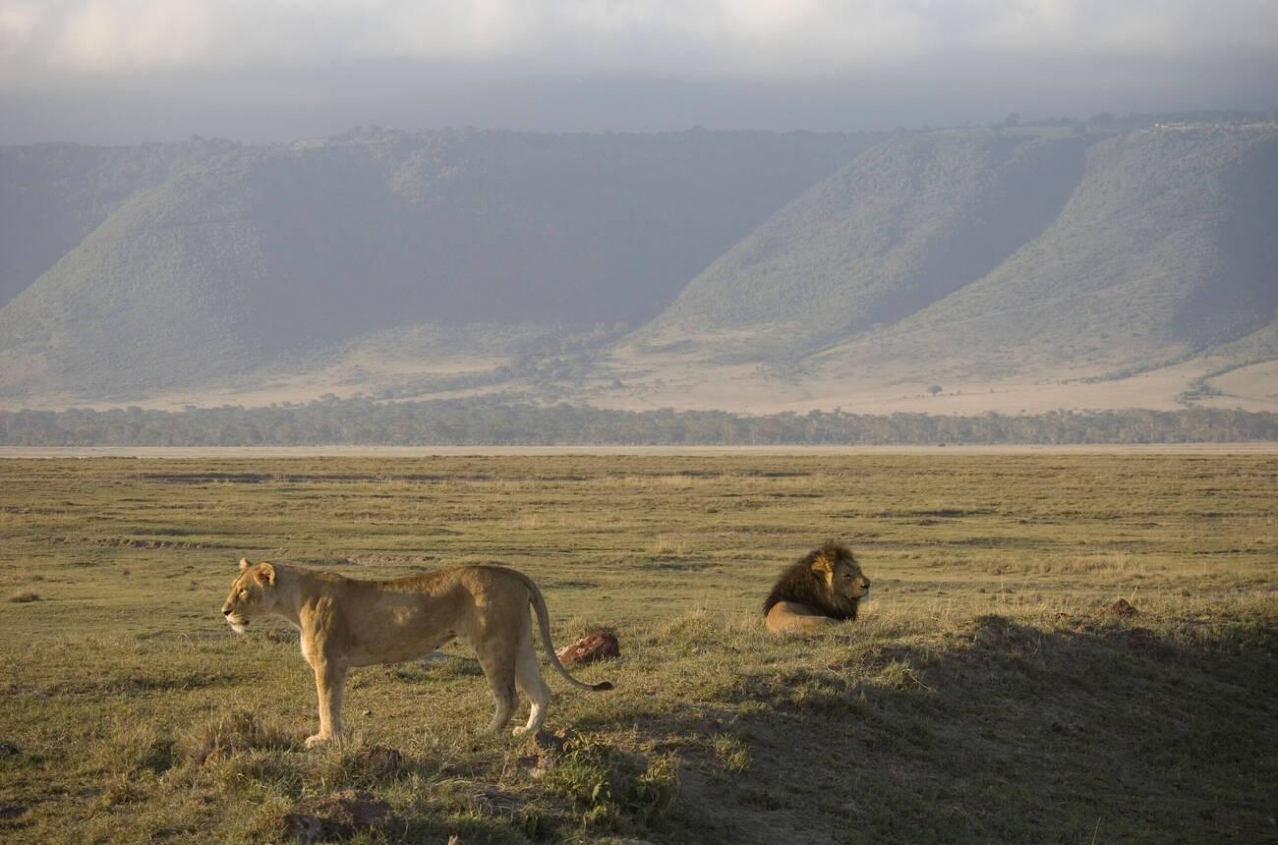 ngorongoro creater