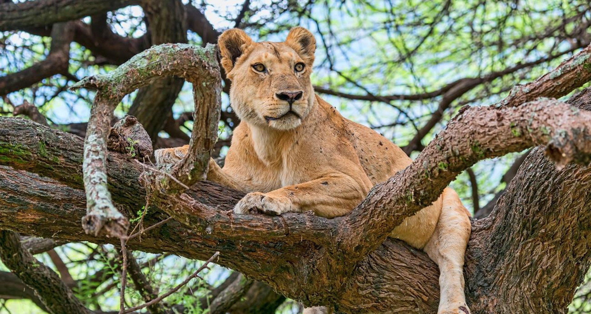 lake manyara